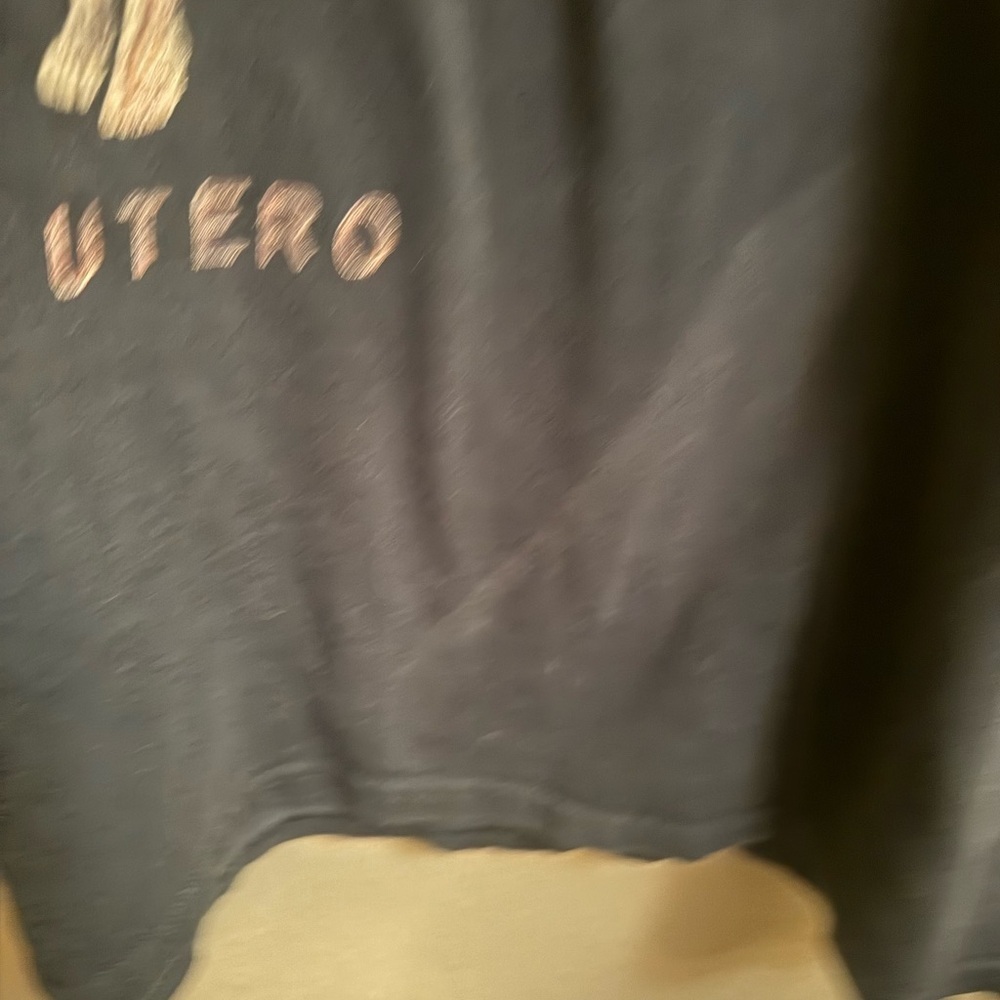 NIRVANA IN UTERO Relaxed Graphic Tee Unisex LG Music Band T-shirt Black - Picture 12 of 12